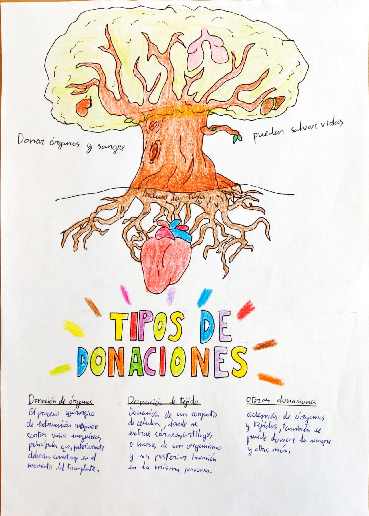 Tipos de donaciones